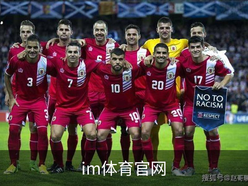 im体育官网介绍