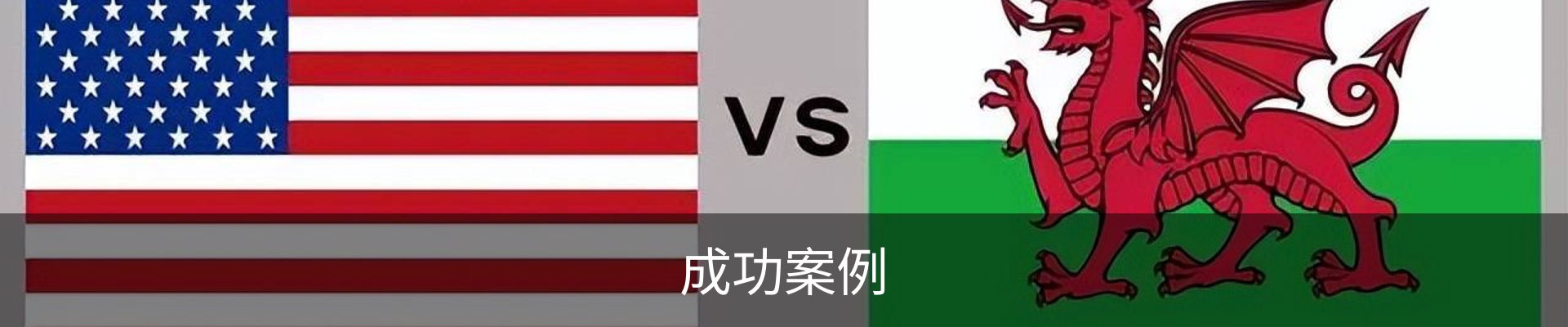 成功案例
